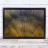 Dandelion Soft Tender Flower Downy Tuft Wall Art Print