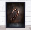 Flying To The Moon acrobat pose mid air Wall Art Print