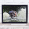 Hippo Africa Attack Charge River Splash Wall Art Print