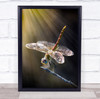 Dragonfly close up on stick light rays Wall Art Print