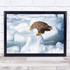 Eagles Wildlife Nature Ice Winter Snow Wall Art Print