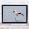 Flamingos funny Wildlife Nature Animal Wall Art Print
