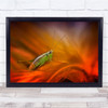 Hopper On Orange Cricket Orange flower Wall Art Print