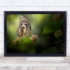 Macro Bugs Insects Butterfly Bokeh Bug Wall Art Print