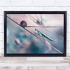 Mantis pretty soft pastel branch snail Wall Art Print