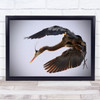 Nature Animal Bird Blue heron Big Blue Wall Art Print