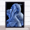 Nature Bird Pelican Small Break animal Wall Art Print