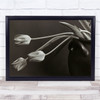 Sweden Flowers Black White Vase Tulips Wall Art Print