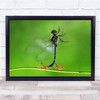 Canon Mataram Want To Fly Ants Insect Wall Art Print