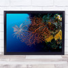 Coral Reef Sea plants blue ocean Rock Wall Art Print