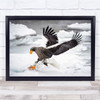 Eagle Landing Wings Winter Snow Frost Wall Art Print