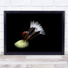 Ladybug Dandelion Insect Dark Low-Key Wall Art Print