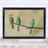 Bee-Eaters Po-Valley Scrivia Italy Wildlife Wild Nature Birds Wall Art Print