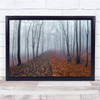 Forest Panorama Autumn Fall Fog Mist Haze Germany Celtic Wall Wall Art Print