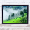 Green Mist Haze Spring Fog Trees Horse Horses Landscape Slope Wall Art Print