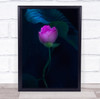 Lotus Flower Flowers Flora Floral Leaf Leaves Zen Mindfulness Wall Art Print