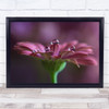 Macro Drops Reflection Water Flower Pink Pastel Drop Droplets Wall Art Print