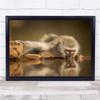 Nature Animal Vervet Monkey Africa Wild Wildlife Safari Water Wall Art Print