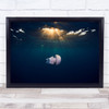 Underwater Jellyfish Light Medusa Wildlife Animal Nature Deep Wall Art Print