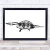 Turtle Underwater Ocean Sea Hawksbill High Key High-Key Black & White Print