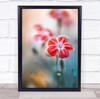 Dianthus Summer Flower Floral Flora Red Garden Flowers Macro Wall Art Print