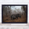 Nature Animal Wild Wildlife Rhino Rhinoceros Mother Cub Baby Wall Art Print