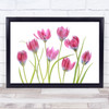 Tulip White Spring Flower Floral Flora Green High-Key Garden Wall Art Print