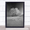 Winter Dunajec Poland Targ Snow Black & White Snowy Cold Trees Tree Frost Print