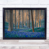 Bluebells Bluebell Blue Forest Trees Tree Meadow Landscape Woods Wall Art Print