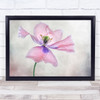 Poppy Pink Summer Flower Papaver Garden Nature Beauty Still Life Wall Art Print