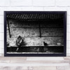 Street Man Cat Person Connection Interaction Village Black White Wall Art Print