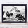 Wildebeest Wildebeests Wildlife Wild Nature Animal Animals Water Wall Art Print