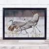 Wildlife Wild Nature Animal Animals Wings Bird Birds Winter Cold Wall Art Print