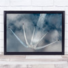 Air show Fingers Airplanes Aircraft Plane Planes Jet Jets Smoke Wall Art Print