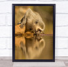 Drink Drinking Thirst Thirsty Ape Monkey Water Waterhole Vervet Wall Art Print