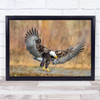 Eagle Bird Freedom Talon Wing Feather Flight Majestic Fly Brown Wall Art Print