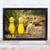 Humour Plastic Duck Sanggau West Kalimantan Indonesia Follow Me Wall Art Print