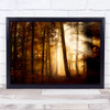 Landscape Light Morning Sunrise Forest Trees Gold Golden Autumn Wall Art Print