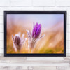 Macro Flower Flowers Floral Flora Botanical Meadow Bokeh Spring Wall Art Print