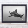 Underwater Shark Fish Animal Hunter Predator Black & White Hunt Wall Art Print