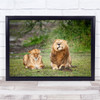 Safari Africa Wildlife Tanzania Feline Savannah Wild Nature Lions Funny Print