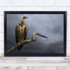 Africa Avian Bird Cape Nature Safari Sky Vulture Wildlife Wild Wall Art Print