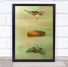 Bird Rock Stone Island Water Reflection Landing Wings Wildlife Wall Art Print