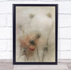 Flower Poppy Hope Soft Painterly Flowers Flora Floral Seed Pod Wall Art Print