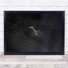 Spider Macro Web Strings Of Existence Wall Art Print