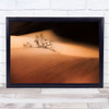 Desert Landscape Sand Dune Dunes Life Opposition Plant Grow Wall Art Print