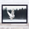 Owl Nature Cold Quebec Canada Snowy Animal Animals Take Off Wall Art Print