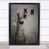 Still Life Flower Flora Floral Flowers Bouquet Purple Tulip Wall Art Print