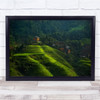 Terraces Terrace Plantation Village Mountain Buildings Lush Wall Art Print