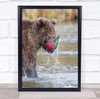 Brown Bear Sockeye Salmon Alaska Katmai National Park look Wall Art Print